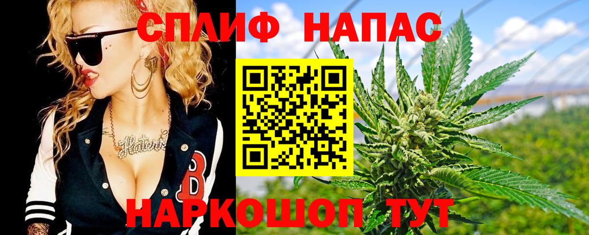 Бошки Шишки LSD WEED  Конопля план  Вход с VPN  Каннабис индика  Костомукша 